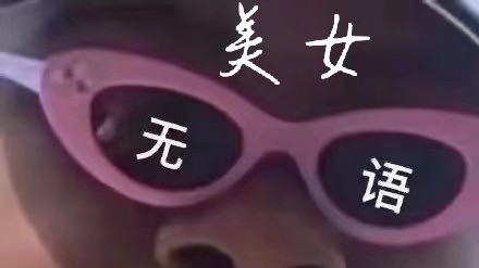 是时候该把这傻兔子炖汤了